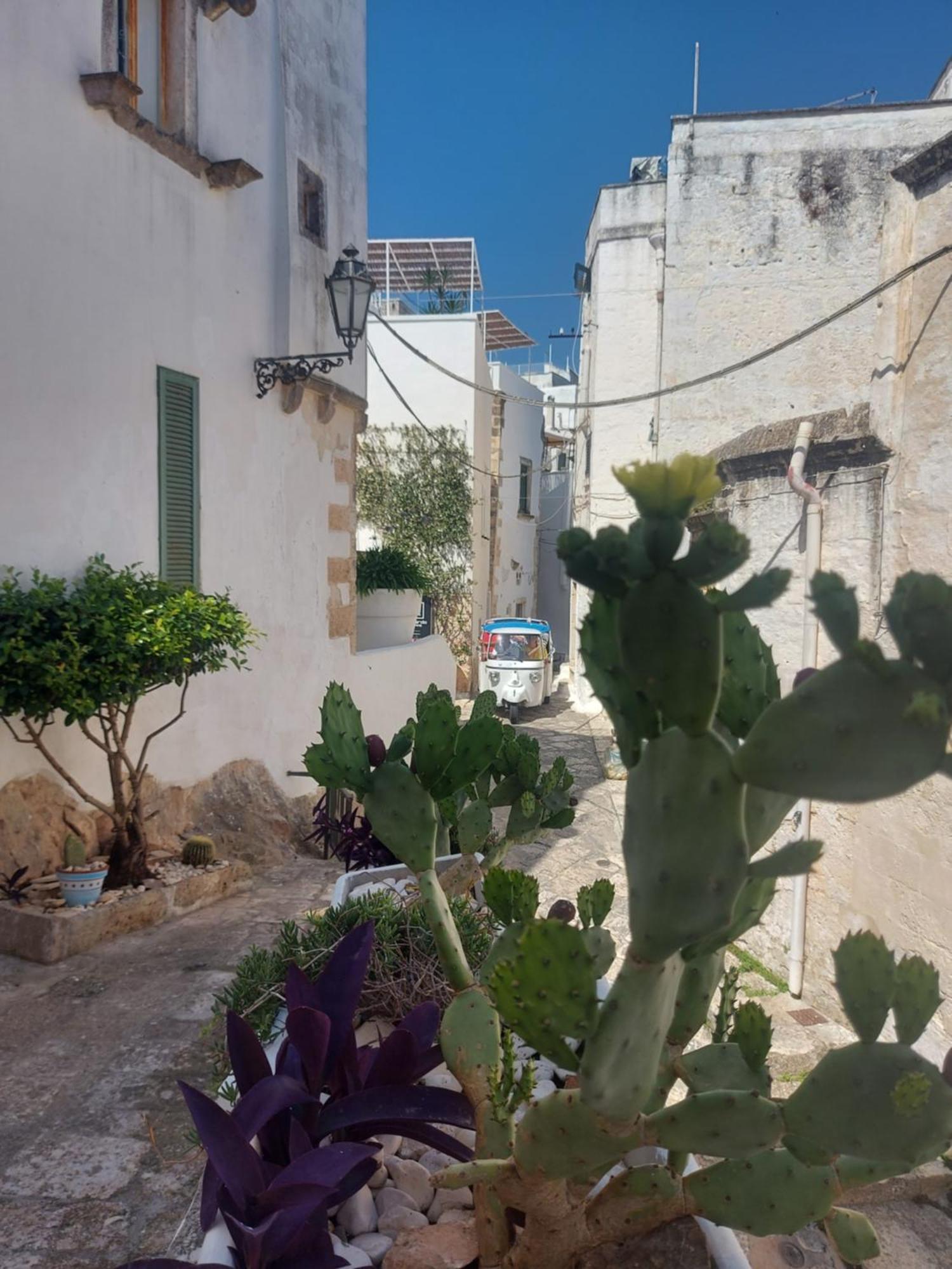 Antica Dimora Flale Apartamento Ostuni Exterior foto